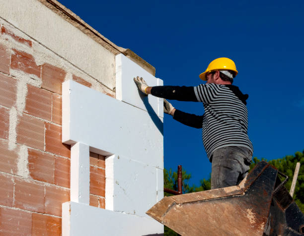 Best Insulation Maintenance and Repair in Tolono, IL