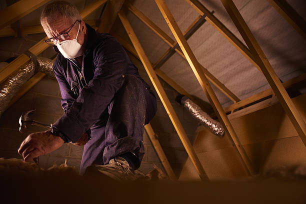 Best Eco-Friendly Insulation in Tolono, IL