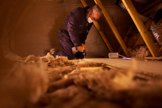Best DIY Insulation Kits and Guidance in Tolono, IL