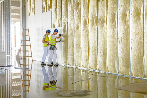 Types of Insulation We Offer in Tolono, IL